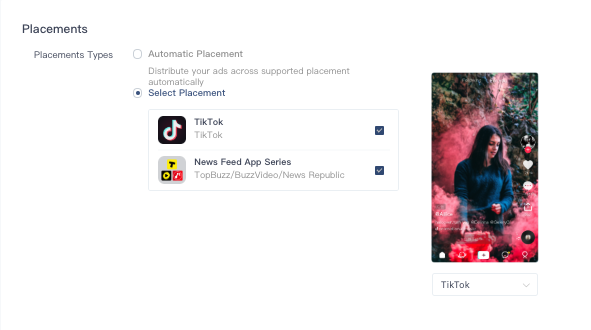 TikTok Ad Group