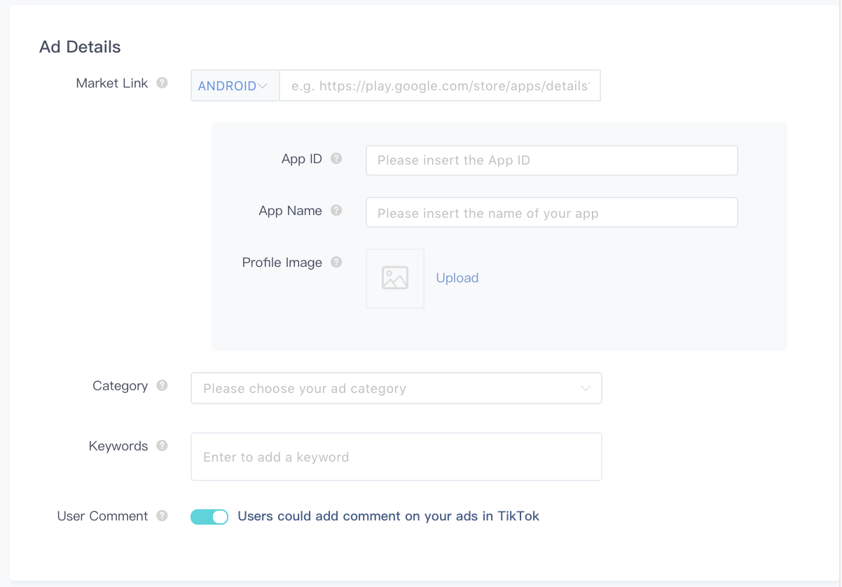 TikTok Ad Details