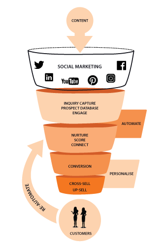 Social Media Ecosystem